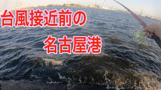 【クロダイ】２０２３年８月　前打ち　台風接近の名古屋港