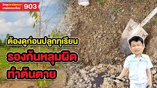 วิทยุปลานิลทอง เกษตรแนวใหม่ ตอน ต้องดูก่อนปลูกทุเรียน รองก้นหลุมผิด ทำต้นตาย