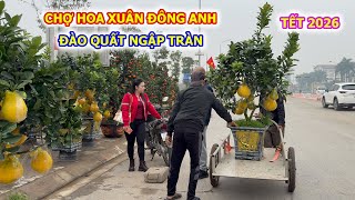PEACHES, KUMQUATS, AND POMELOS BEGIN TO FLOOD THE STREETS OF DONG ANH SPRING FLOWER MARKET FOR TE...