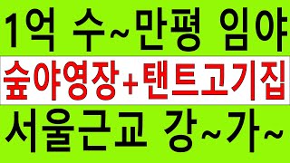 1억 수~만평 서울근교싼임야 47억짜리 건축가 전원생활 숲야영장+텐트고기집6차산업 관광농원 숲가치213억 탄소권4383만원 임업직불금 땅과함께(새희망을)경매임야 공매임야 나도땅주인