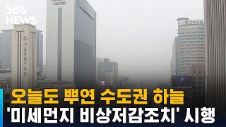 오늘도 뿌연 하늘…수도권 미세먼지 비상저감조치 / SBS