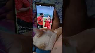 Krish watching diyafavas shorts #eenameenateeka #diyafavas #trendingshorts #petlove