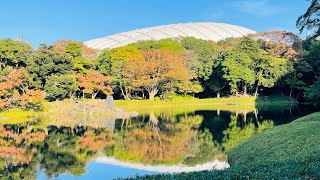 Koishikawa Korakuen Garden Bunkyo City Tokyo Japan#Tokyo2021#[4K]#Goprohero9#pinoyinjapan#ilovejapan