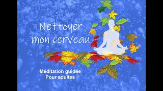 Nettoyer mon cerveau - Méditation guidée - Visualisation - Pleine conscience - Mindfulness - Calme