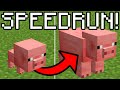 Speedrunning Minecraft, but BREEDING ANIMALS COMPLETES THE GAME