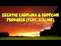 Breathe Carolina & Dropgun (feat. Reigns) - Promises