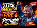 🔥 Sungura King Alick Macheso Sets the Stage on Fire with PETUNIA!