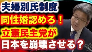 【杉尾秀哉氏、夫婦別氏・同性婚を認めろ！】立憲民主党が日本を崩壊させる？ 参議院 予算委員会 2023年3月1日【龍之介channel（高倉龍之介）】