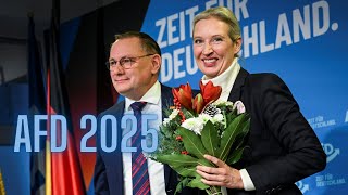 AFD 2025 x Dancing Nihilist ┃Make Germany normal again┃2025 Elections