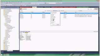 Part 1 Introduction to Redgate SQL Toolbelt Essentials and SQL Search