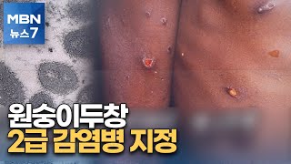 원숭이두창 오늘부터 2급 감염병…확진자 발생 시 격리 [MBN 뉴스7]