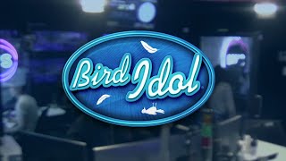 Kyle & Jackie O's BIRD IDOL - Episode 1 🎤🐦
