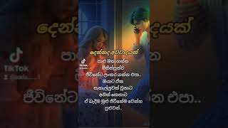 පාළු මකාගන්න ජීවිත වලට ලංවෙන්න එපා #youtub #fyip #foryou