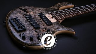 Pre-Owned Elrick Gold Series E-Volution 5