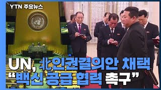 UN 위원회, 北인권결의안 17년 연속 채택...北 백신협력도 촉구 / YTN