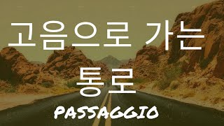 고음으로 가는 통로 빠싸죠!(passaggio)