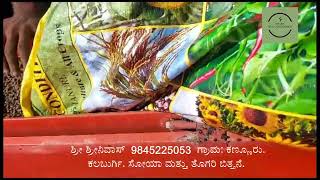 #Soya #ಸೋಯಾ #ತೊಗರಿ ಶ್ರೀ. ಶ್ರೀನಿವಾಸ ಕಣ್ಣೂರು. 9845225053 ಗ್ರಾಮ. ಕಣ್ಣೂರು. ಕಲಬುರ್ಗಿ. ಖೂಬಾ ಸೈಲ್ ಕಂಡೀಷನರ್