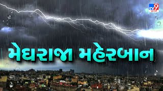 Vadodara : શિનોરમાં પવન સાથે વરસાદ, વડોદરાના ગ્રામ્ય વિસ્તારોમાં ફરી મેઘરાજાની એન્ટ્રી | TV9Gujarati