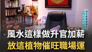 升官加薪自己來 擺放這植物能夠催旺運~   桌子前方放什麼可以提升行動力還能加強思考決策立~\