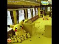 【日本】超治癒 日本東北地區限定 pokÉmon with you 列車