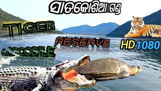 ସାତକୋଶିଆ ଗଣ୍ଡ ରେ  boating କରି ଦେଖିବା   ଘଡିଆଳ କୁମ୍ଭିର ଓ କଇଁଛ