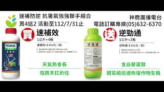 2023.06.30-聽老師講解植物熱障礙，該怎麼調整肥料的應用？胺態氮跟硝酸態氮是可以在早晨或是在下午使用葉面或是地下部？