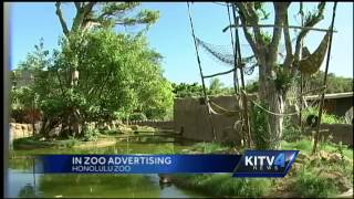 Ads at Honolulu Zoo could be a possibility