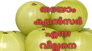 ക്യാൻസറിനെ പ്രതിരോധിക്കാൻ സഹായിക്കുന്ന ഭക്ഷണങ്ങൾ