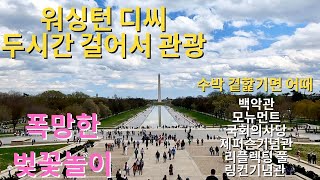 🇺🇸 미국 2022 #1 워싱턴 디씨 2시간 걸어서 둘러보기 (벚꽃놀이는 망함)