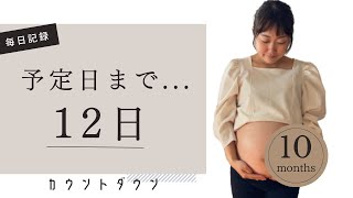 【臨月妊婦】出産予定日まで残り....『12日』｜毎日投稿