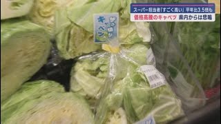 キャベツの値段が高騰　スーパーの買い物客は…　お好み焼き専門店では…　静岡市