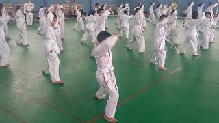 Materi Ujian Sabuk Putih karate