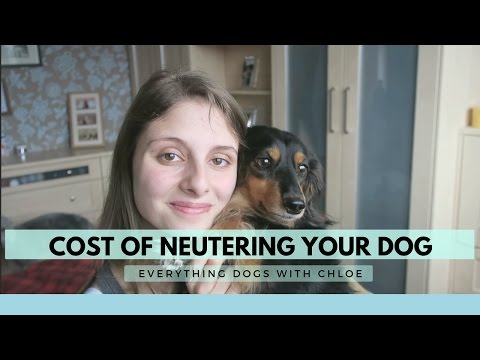 How much does it cost to have a male dog neutered?