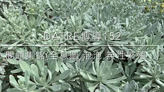 Datre傳導152🍀問題集錦(全息圖,泡泡,無性繁殖…)