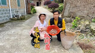 炮哥今天运气爆棚，山里找了一篮子枞树菌，湖南媳妇高兴坏了【广西四炮】