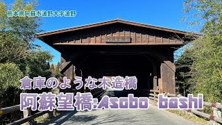 熊本県 阿蘇の名所「阿蘇望橋」と「高森ツリーハウス」