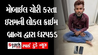 મોબાઈલ ચોરી કરતા ઇસમની લોકલ ક્રાઈમ બ્રાન્ચ દ્વારા ધરપકડ 2021| Spark Today News Vadodara