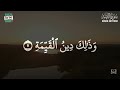 Surah Al- Bayyinah|  Wadee Hammadi Al- Yamani |QUR'AN ARABIC (CALMING VOICE)