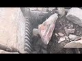 sand jaw rock crushers process”jaw crushers in action”satisfy with rock asmr stonecrusher trending