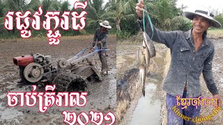 #ភ្ជួរដី #ចាប់ត្រីក្នុងស្រែ #អាំងហូបបាយថ្ងៃត្រង់ #ជីវិតអ្នកស្រែ