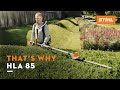 STIHL HLA 85 | Long-reach hedge trimmer with telescopic shaft I That's why