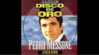 Pedro Messone - Camino de soledad