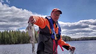 Verkkokalastusta keväällä/ Net fishing on the Finnish lake