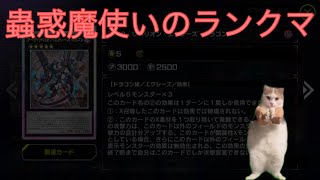 蟲惑魔使いのランクマ　猫ミーム【遊戯王マスターデュエル】