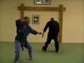 07 kenpo paarseband reversing mace