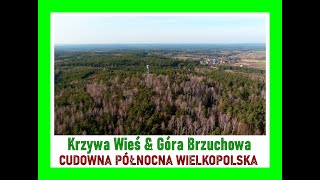 ENKLAWA promuje Trzciankę i okolice! Krzywa Wieś \u0026 Góra Brzuchowa! CUDOWNA północna Wielkopolska! :o