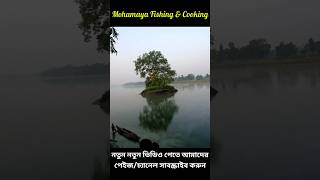 কর্ণফুলী নদীতে বামুশ মাছ হিট😲🥰🐟🎣