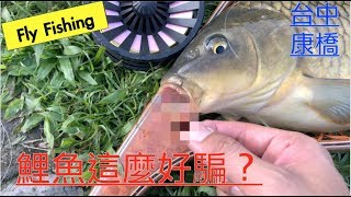 POPA Fly Fishing Carp