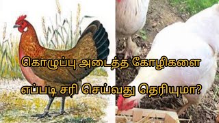 கொழுப்பு அடைத்தக்கோழிகளை சரி செய்வது எப்படி தெரியுமா?