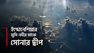 সোনার দ্বীপ খুঁজে পেলেন মৎস্যজীবী | Island of Gold | WG